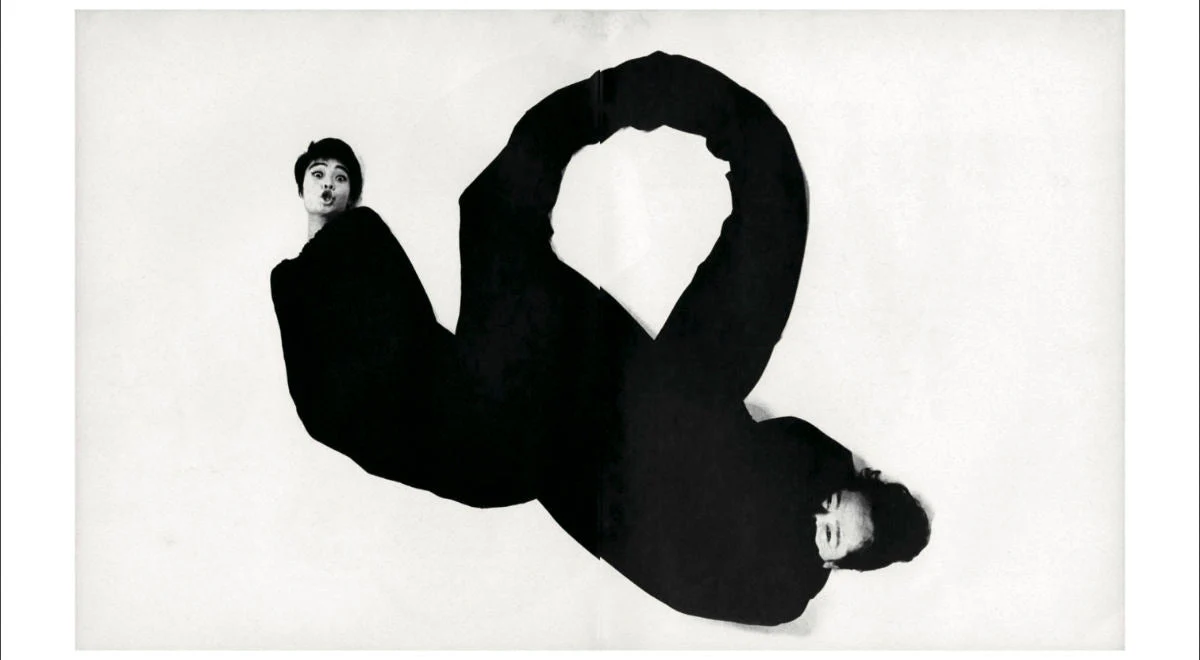 Homo Ludens by Masahisa Fukase - Image 14