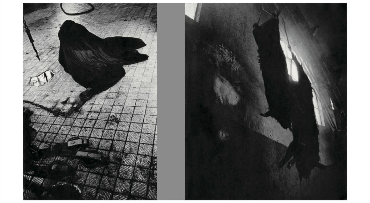 Homo Ludens by Masahisa Fukase - Image 3
