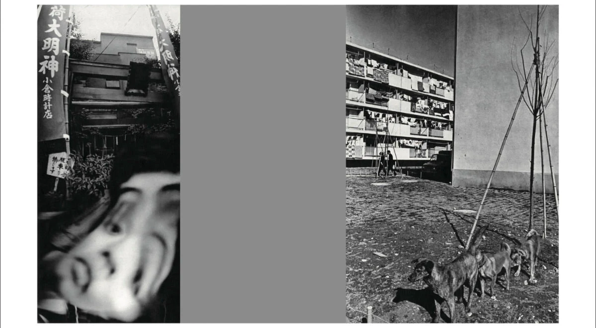 Homo Ludens by Masahisa Fukase - Image 8