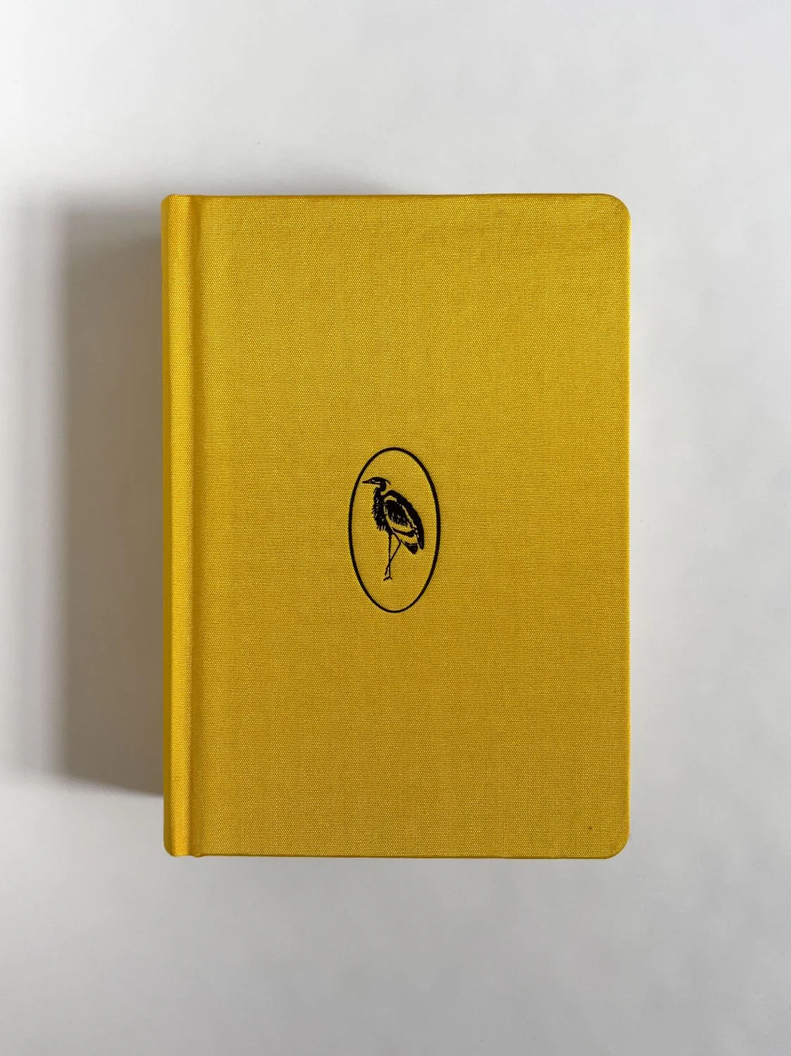 Homographs A pictionary book by Allegra Baggio Corradi