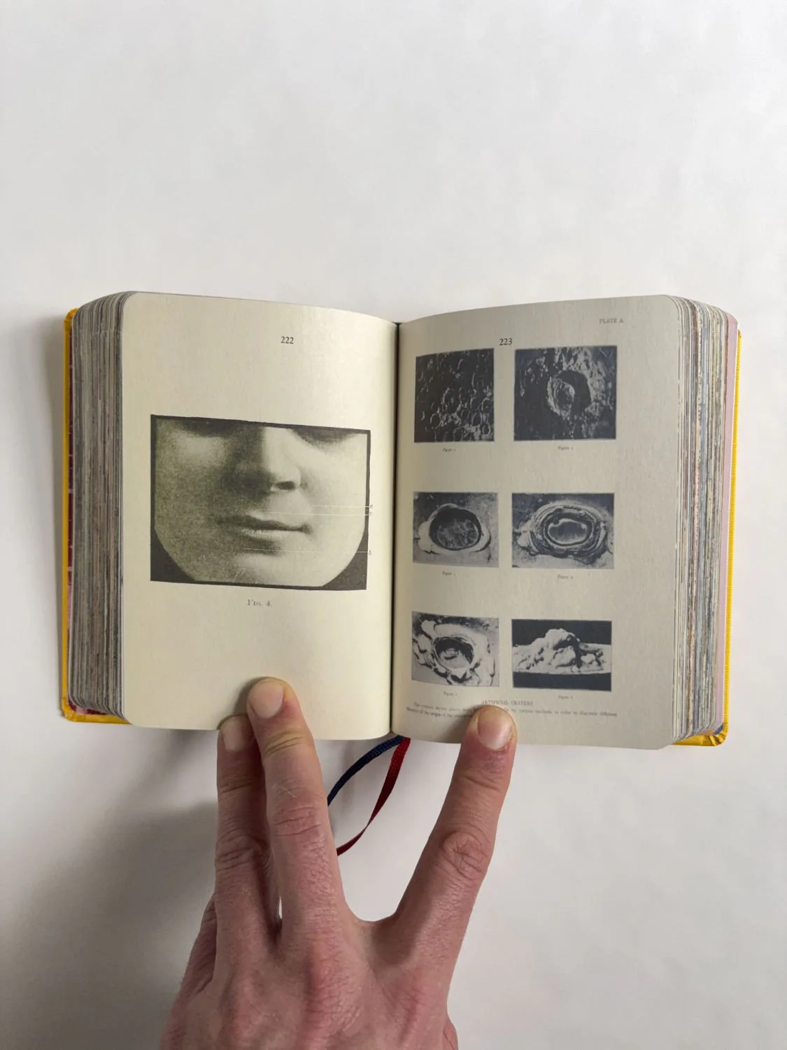Homographs A pictionary book by Allegra Baggio Corradi - Image 10