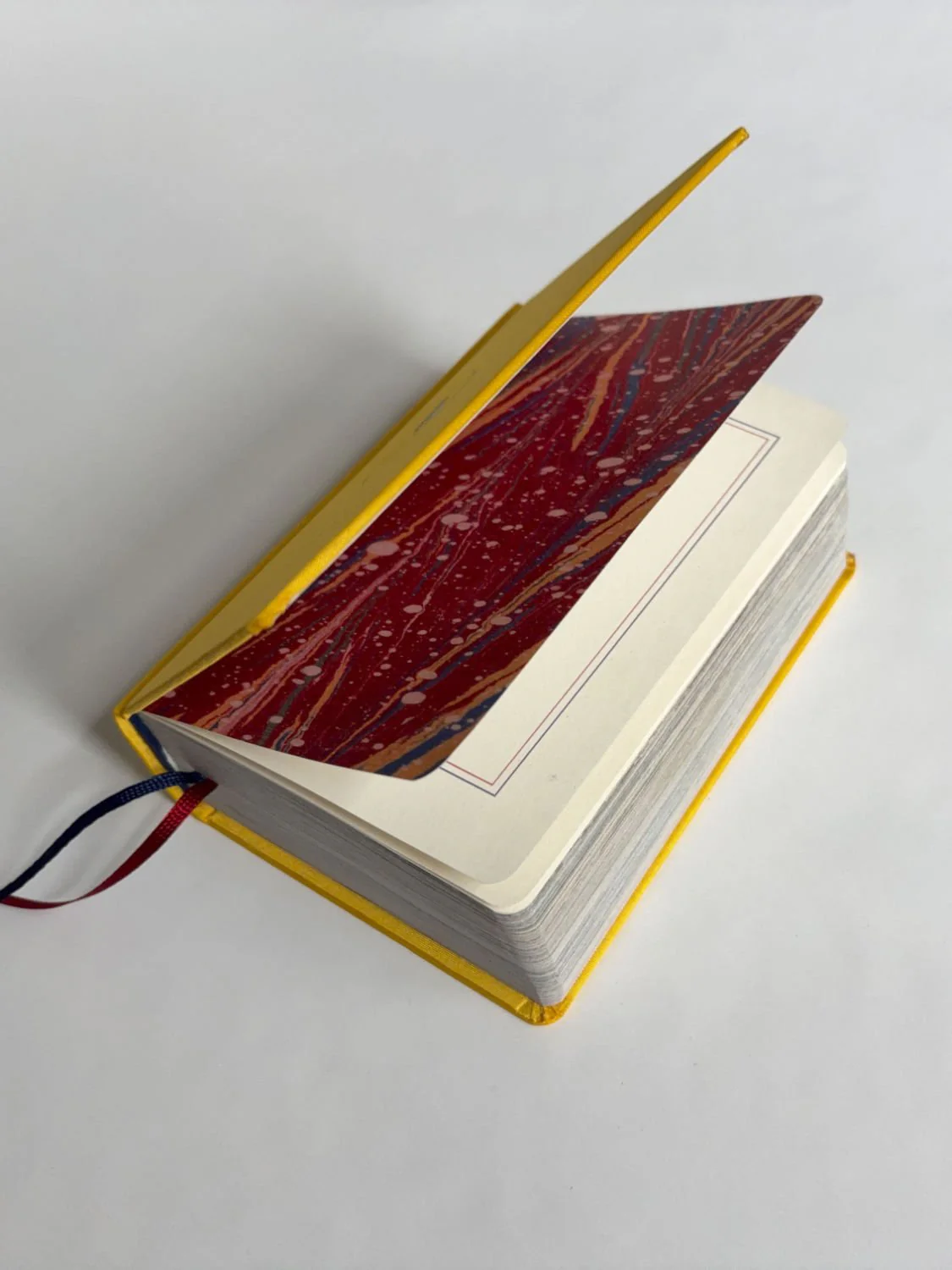 Homographs A pictionary book by Allegra Baggio Corradi - Image 13