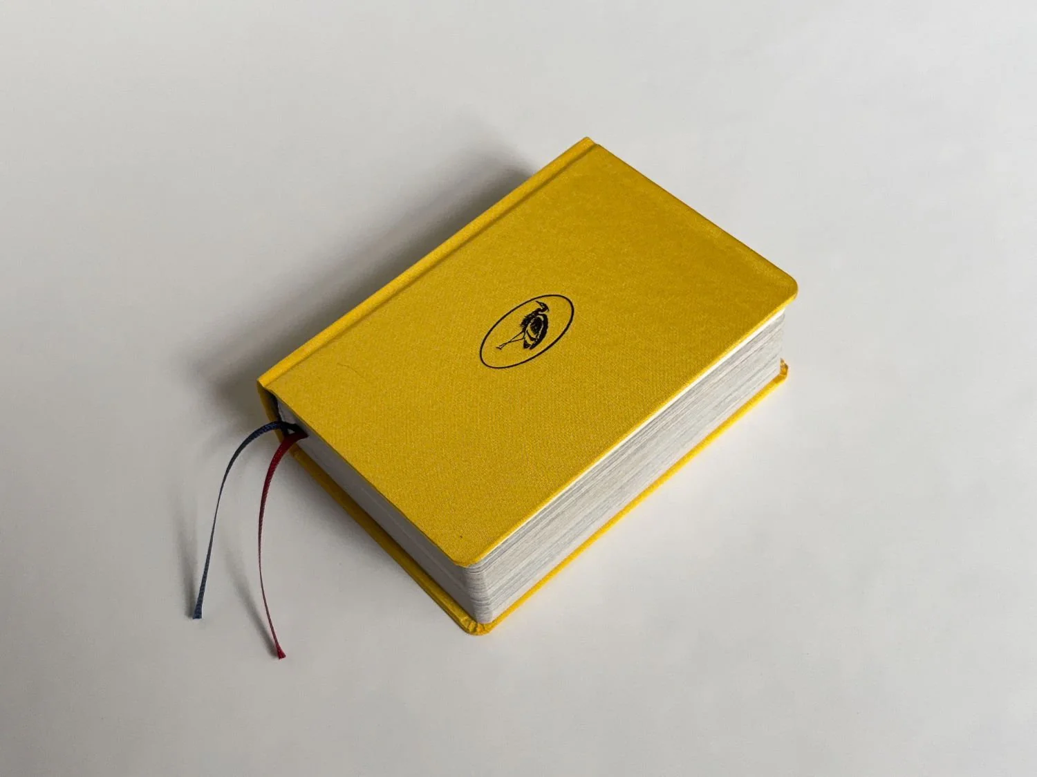 Homographs A pictionary book by Allegra Baggio Corradi - Image 15