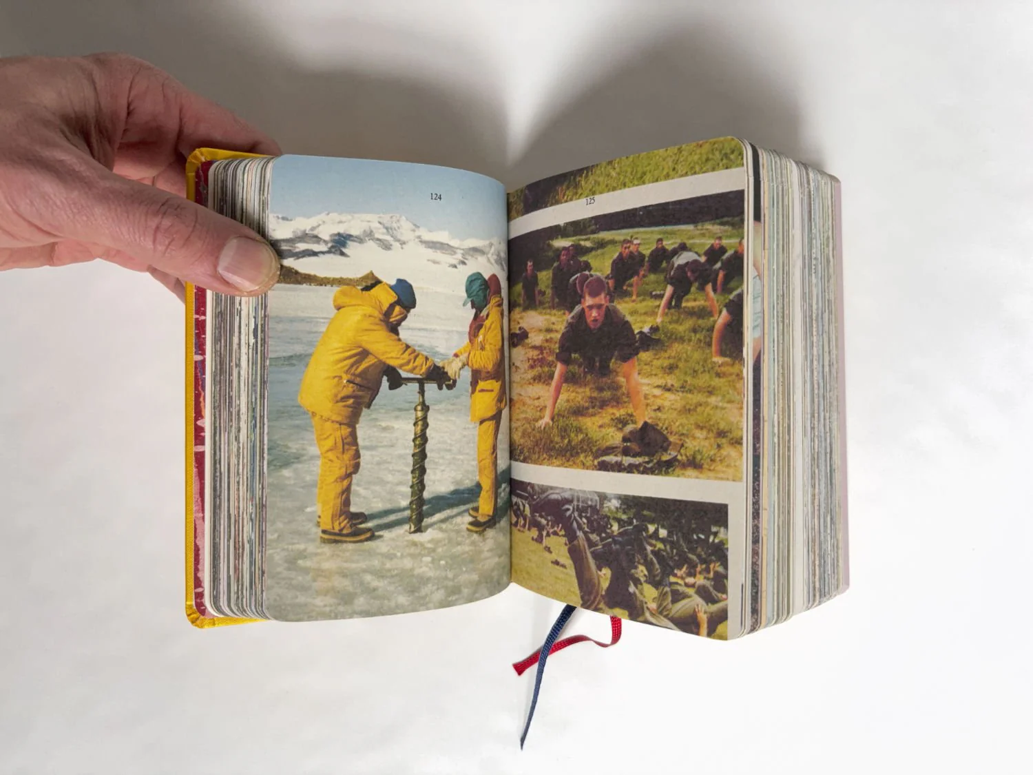 Homographs A pictionary book by Allegra Baggio Corradi - Image 3