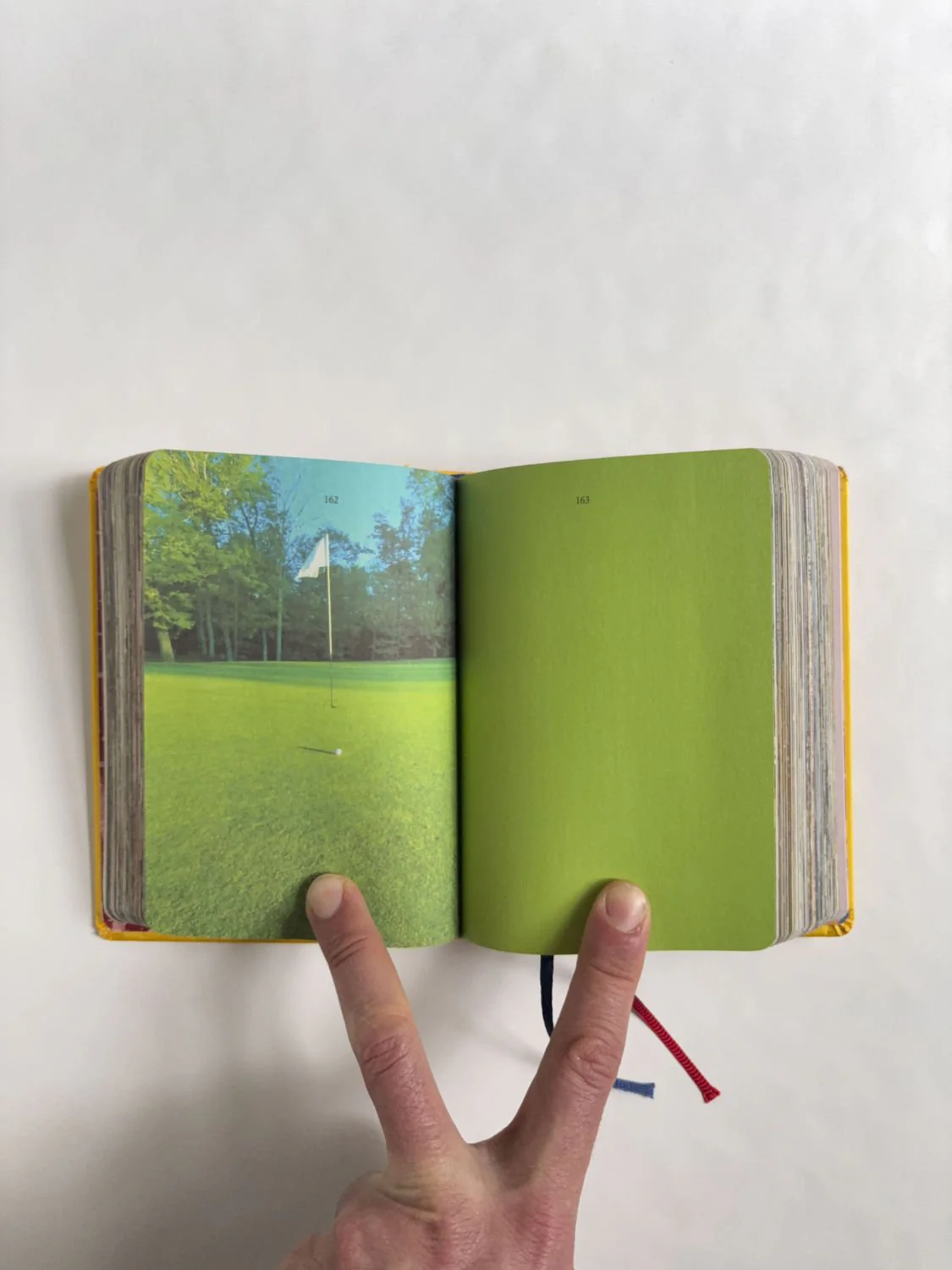 Homographs A pictionary book by Allegra Baggio Corradi - Image 6
