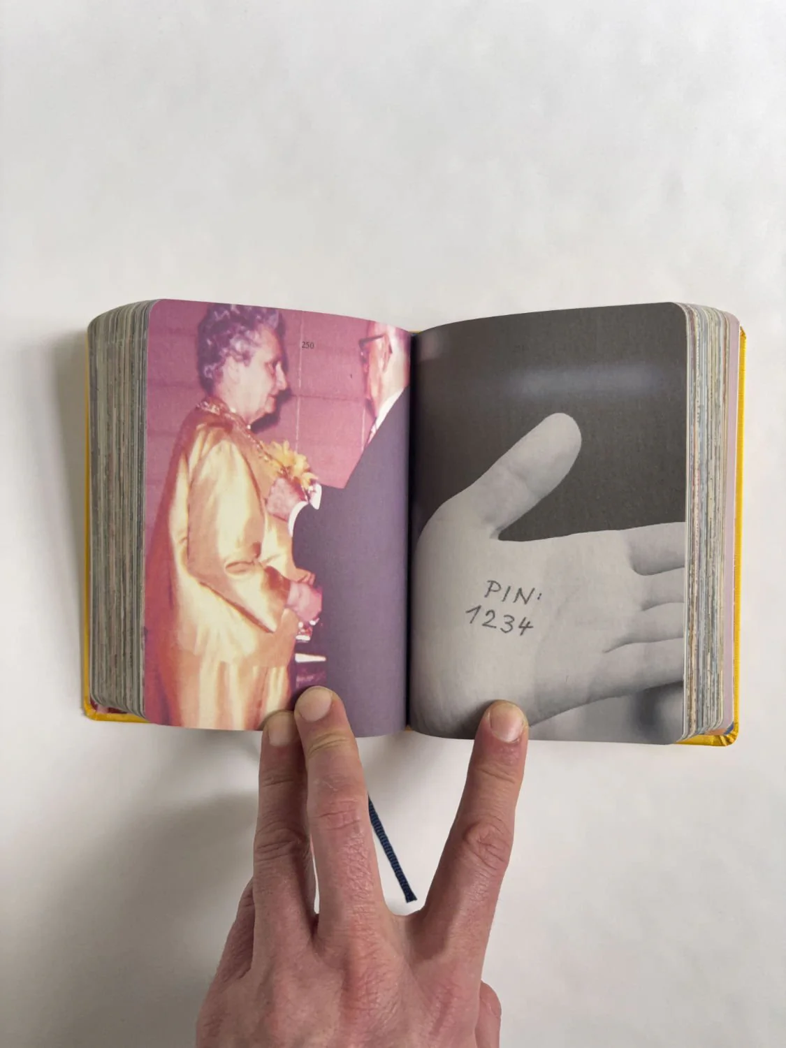Homographs A pictionary book by Allegra Baggio Corradi - Image 7