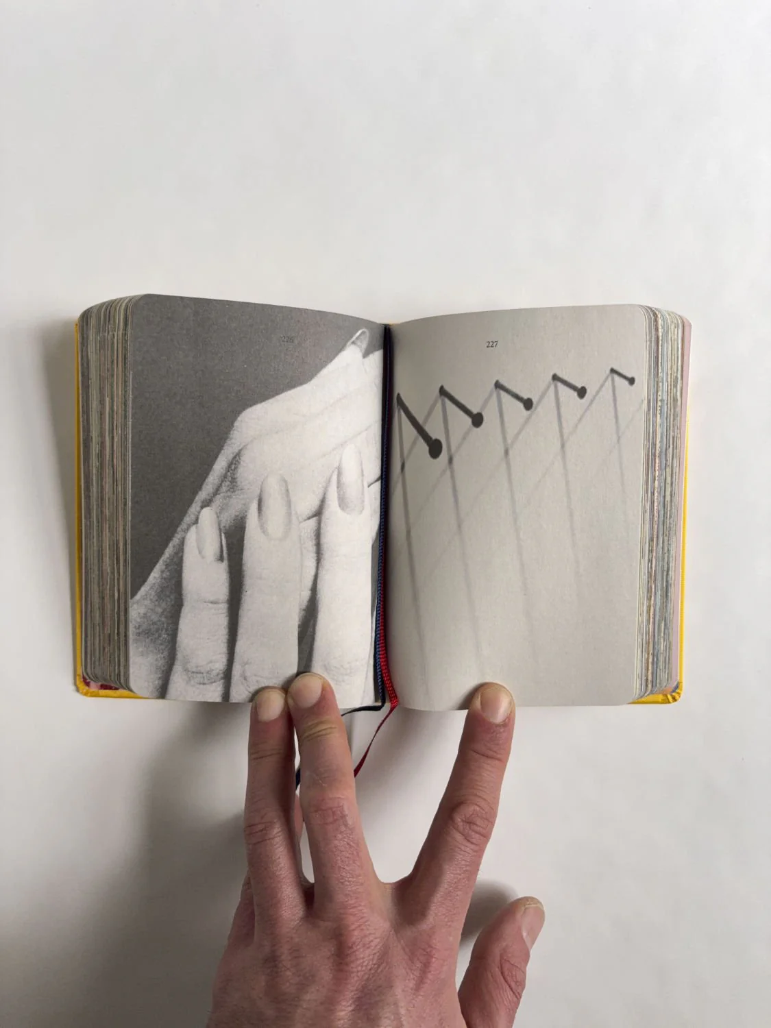Homographs A pictionary book by Allegra Baggio Corradi - Image 9