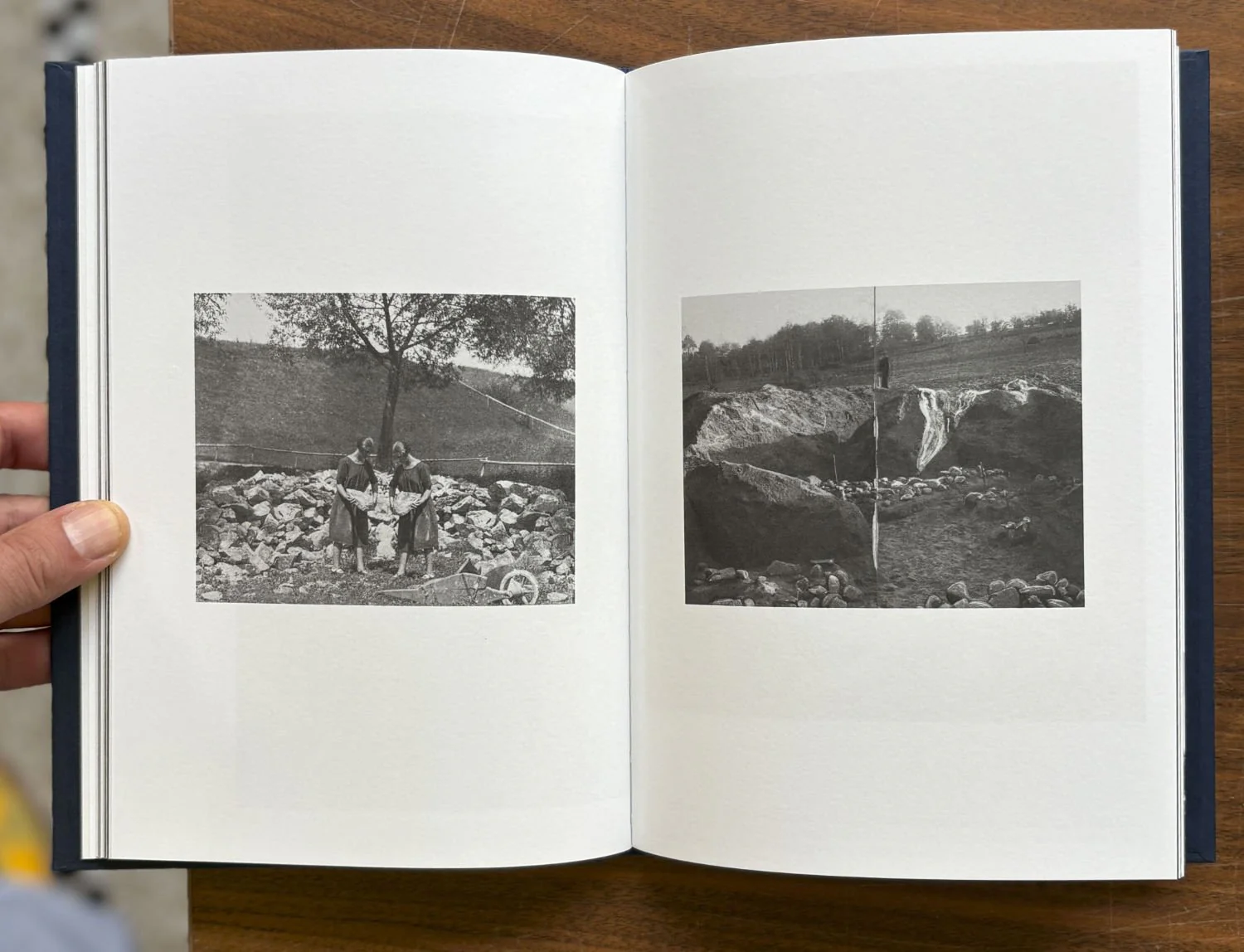 I Saw a Tree Bearing Stones in the Place of Apples and Pears by Emilia Martin - Image 4