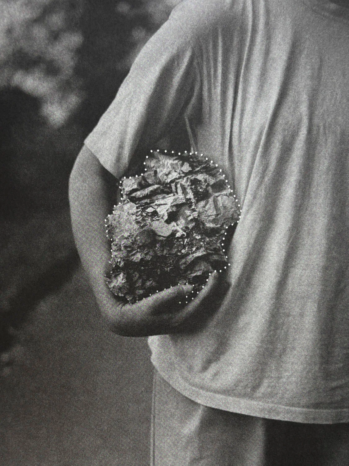 I Saw a Tree Bearing Stones in the Place of Apples and Pears by Emilia Martin - Image 5