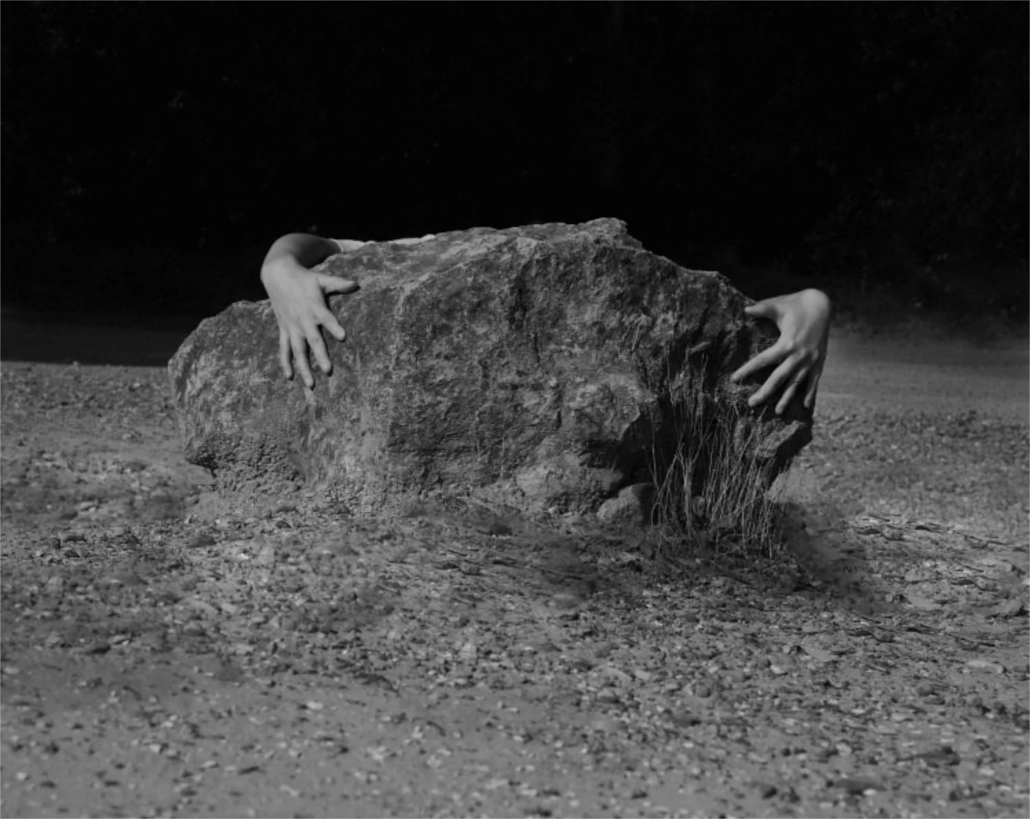I Saw a Tree Bearing Stones in the Place of Apples and Pears by Emilia Martin - Image 7