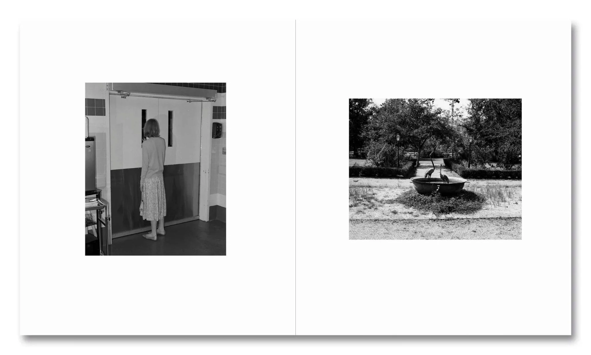 I shall sing these songs beautifully by Yorgos Lanthimos - Image 8