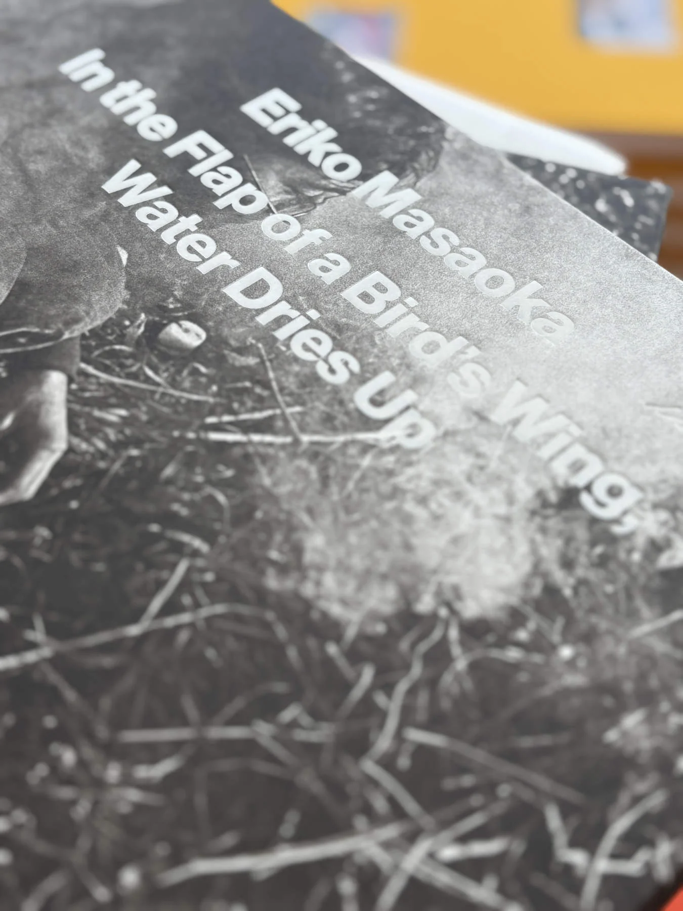 In the Flap of a Bird’s Wing, Water Dries Up by Eriko Masaoka