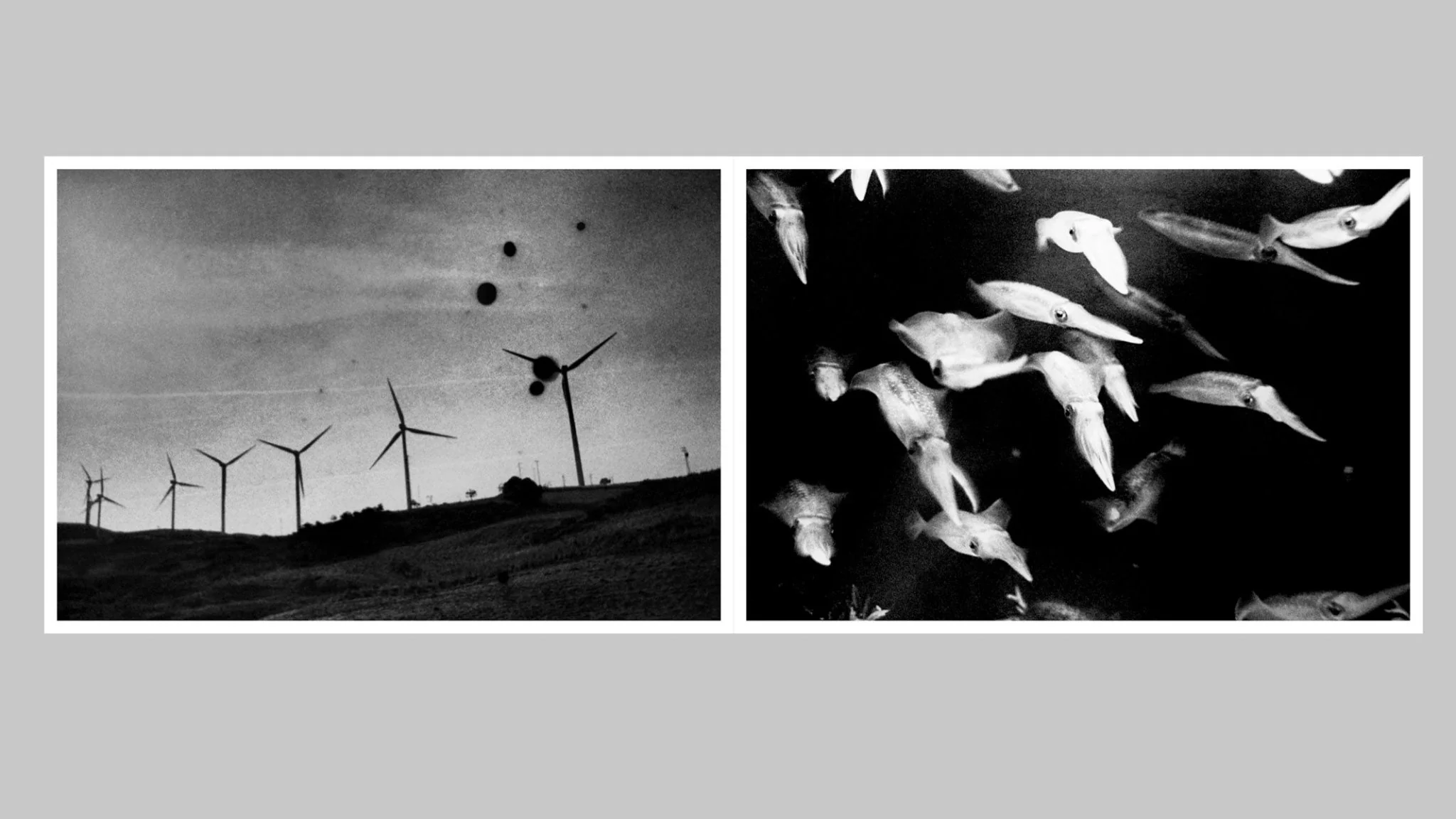 In the Flap of a Bird’s Wing, Water Dries Up by Eriko Masaoka - Image 3