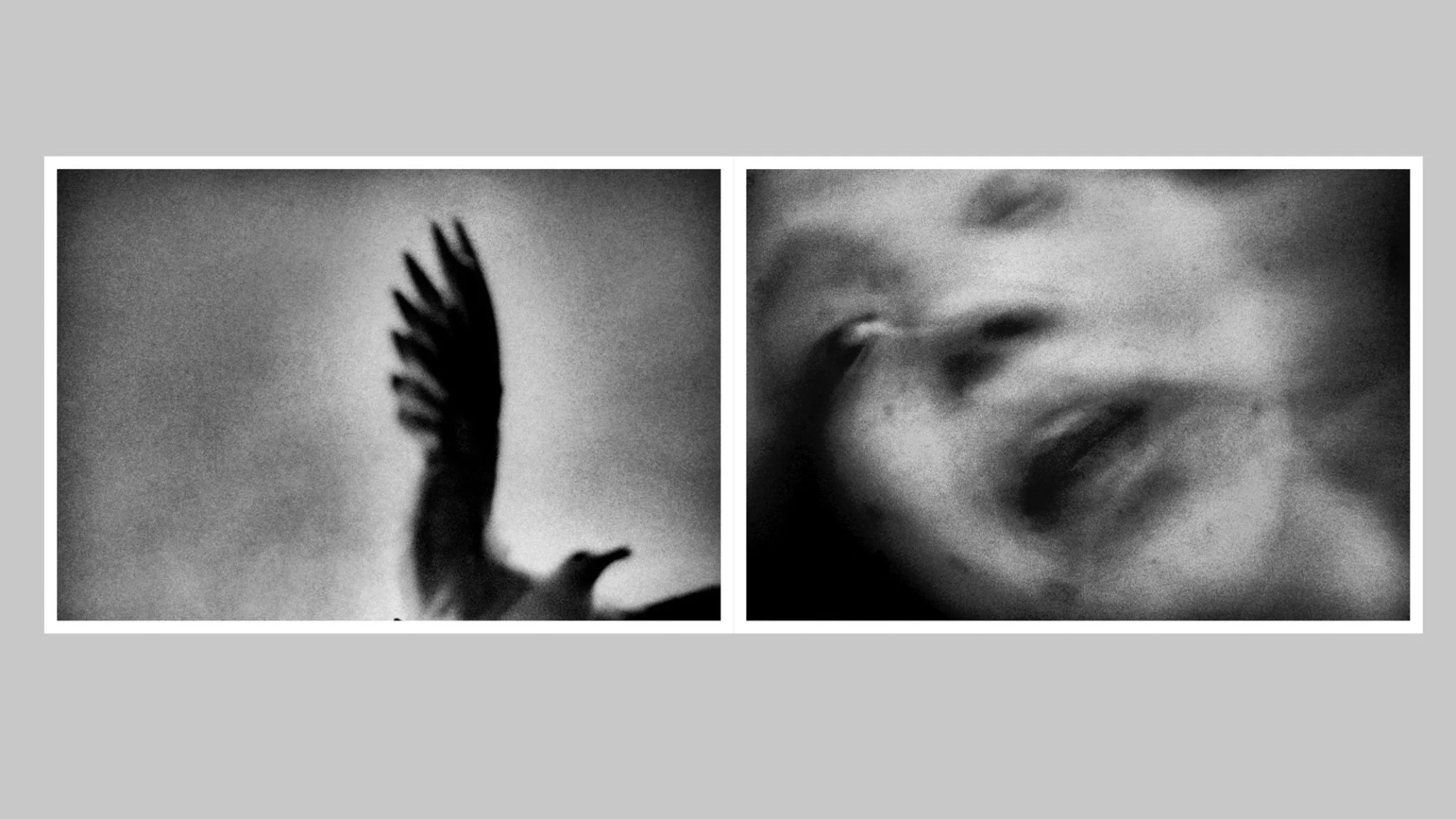 In the Flap of a Bird’s Wing, Water Dries Up by Eriko Masaoka - Image 5