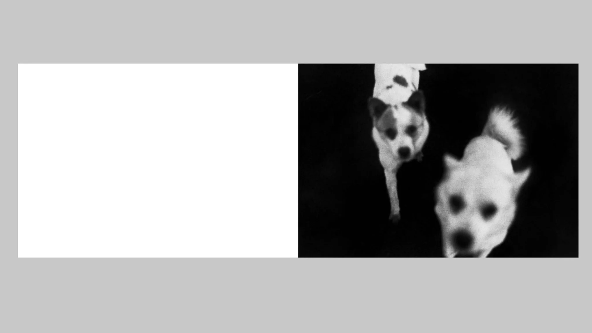 In the Flap of a Bird’s Wing, Water Dries Up by Eriko Masaoka - Image 7