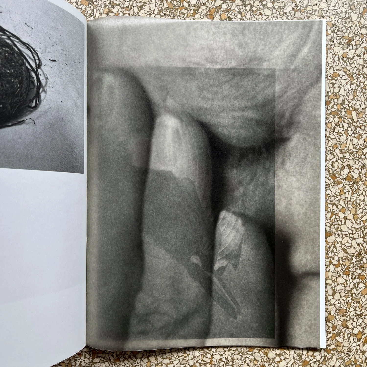 it’s that you’re here by Caroline Kist - Image 5