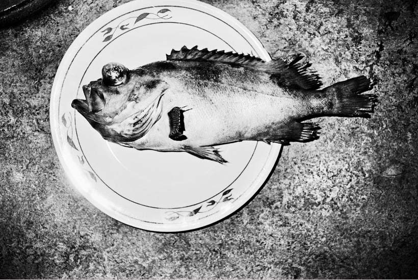 James' House by Jacob Aue Sobol - Image 6