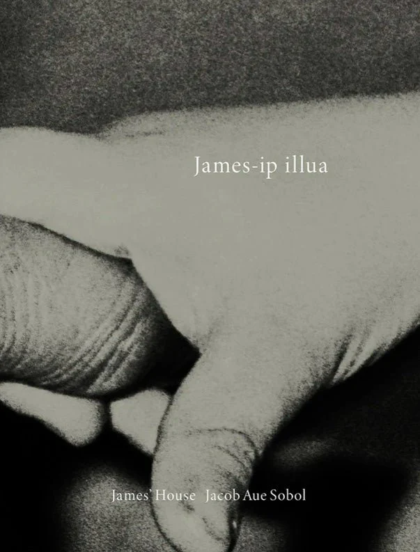 James' House by Jacob Aue Sobol - Image 7