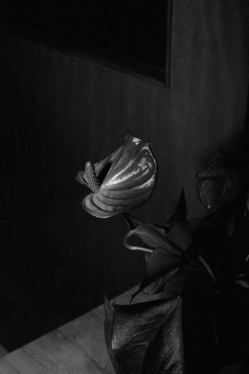 la grande maison by Natalie Malisse - Image 10