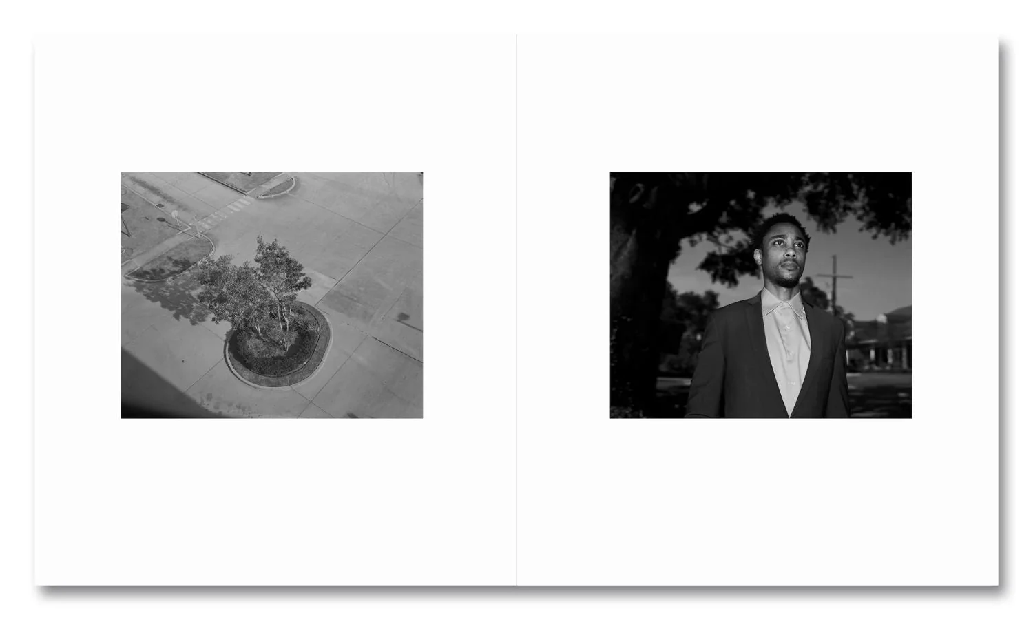 Lanthimos Unveiled: Three Publishers, One Vision - Image 10