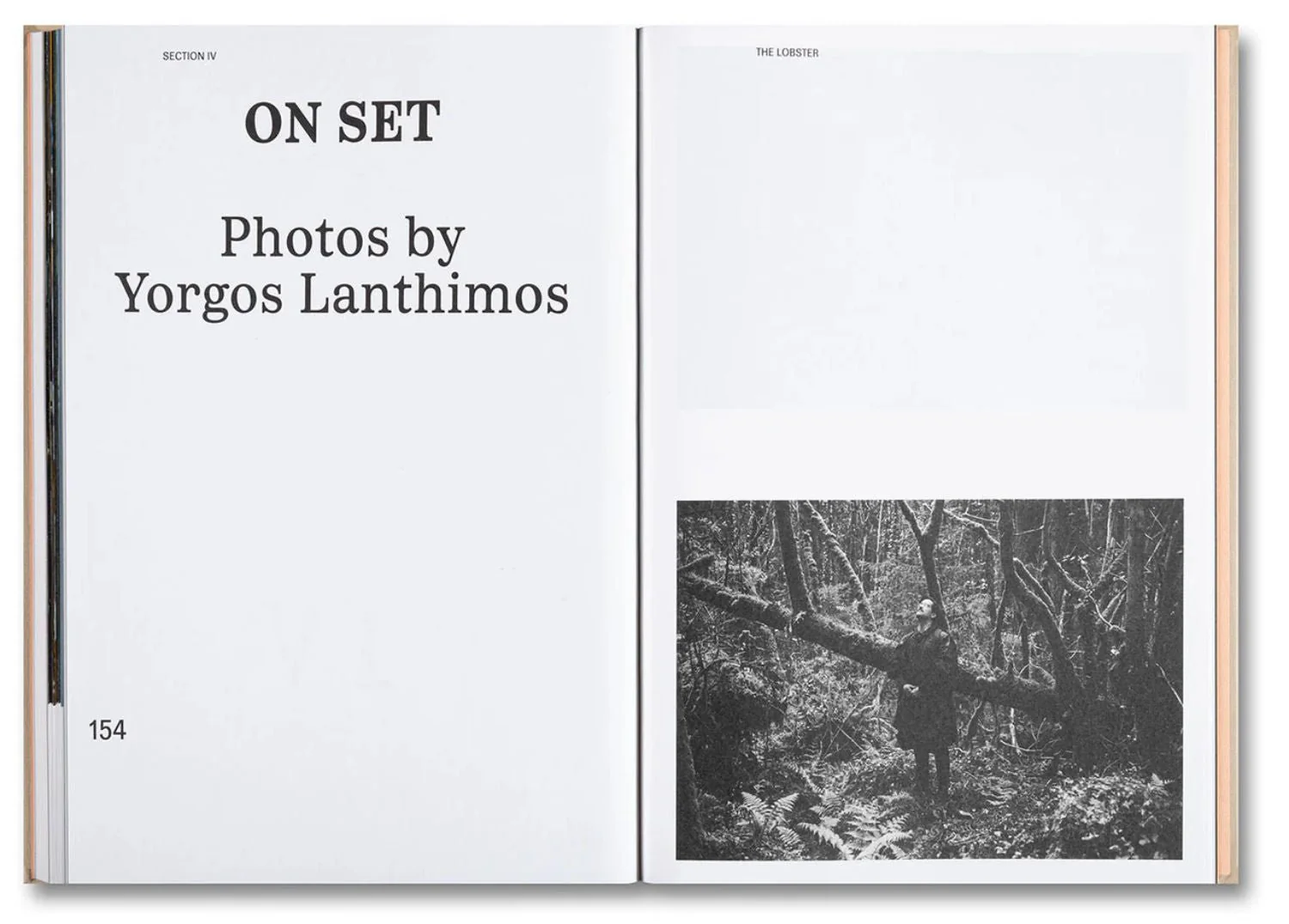 Lanthimos Unveiled: Three Publishers, One Vision - Image 8