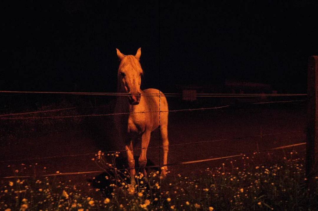 Le grand jour par Catherine Rombouts - Image 7