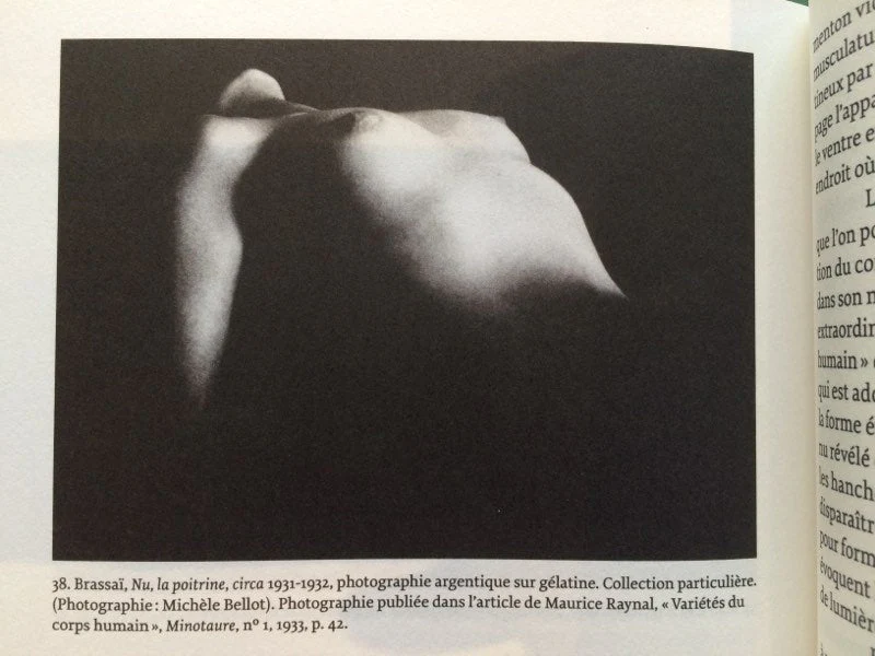 Le photographique pour une théorie des Ecarts de Rosalind Krauss - Image 7