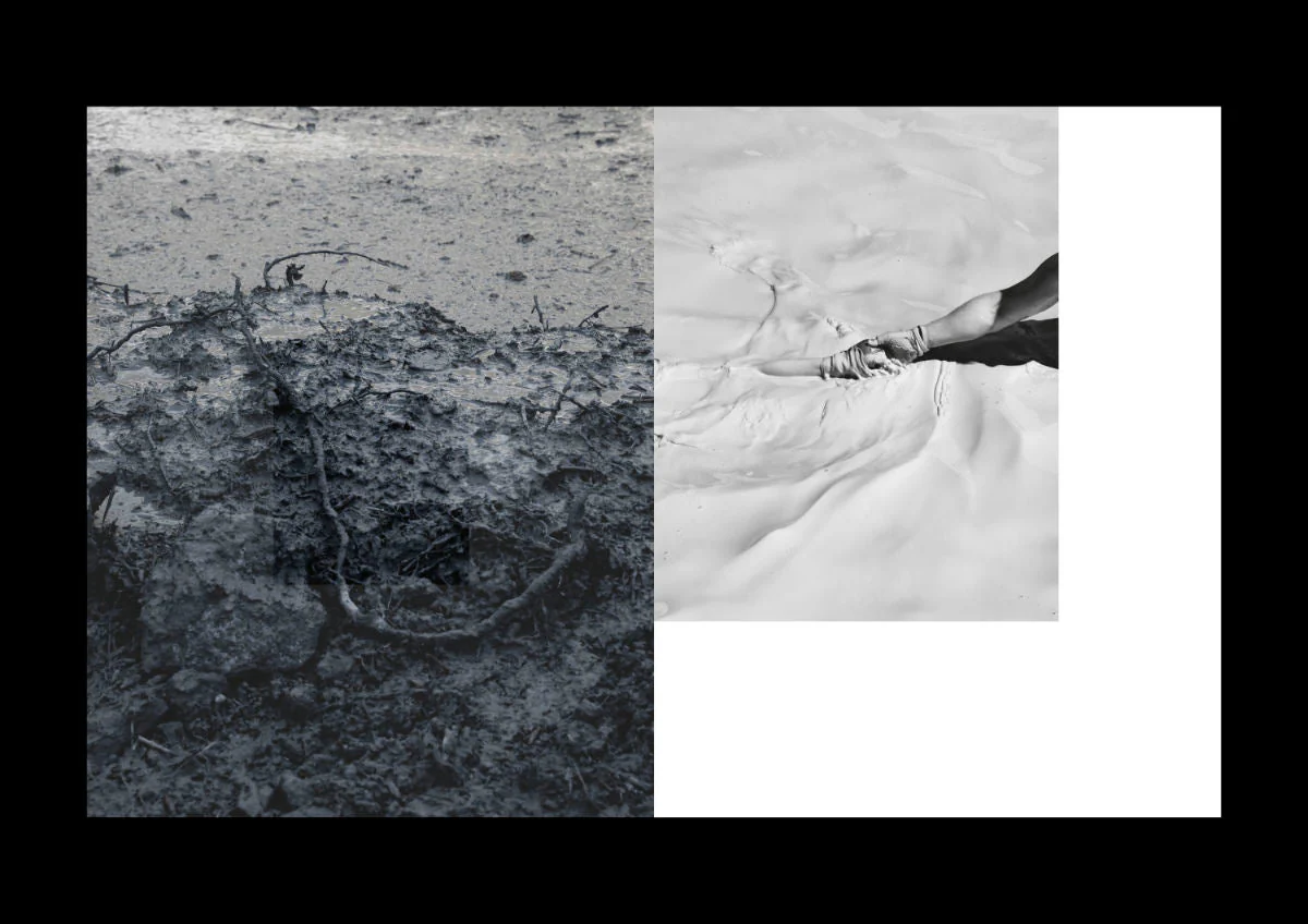 Le Royaume de Marie Quéau - Image 10