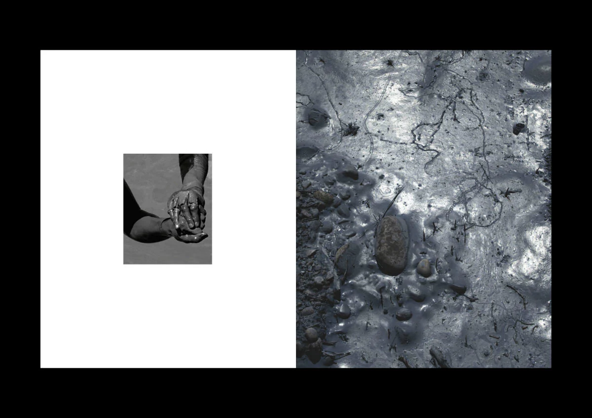 Le Royaume de Marie Quéau - Image 11