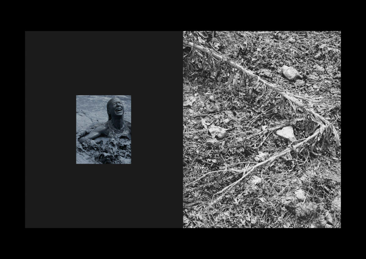 Le Royaume de Marie Quéau - Image 5