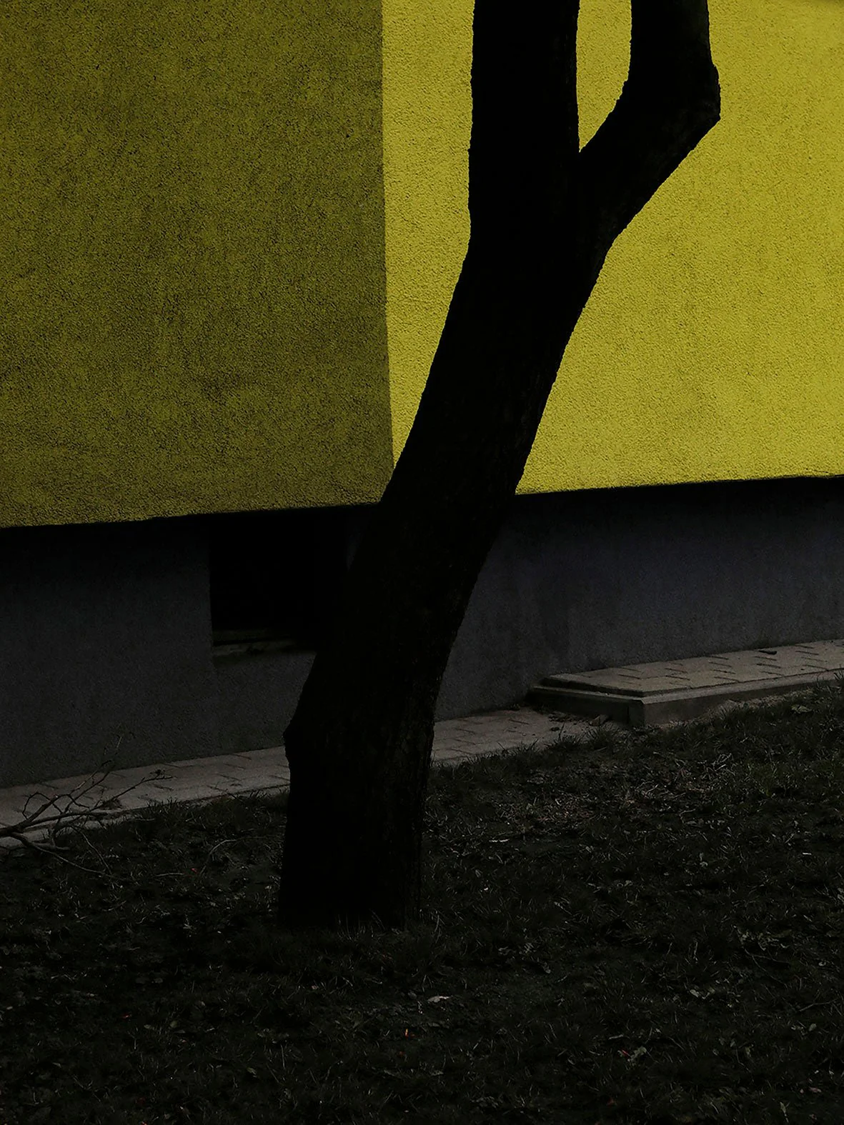 Le Temps de l’immaturité by Nolwenn Brod - Image 3