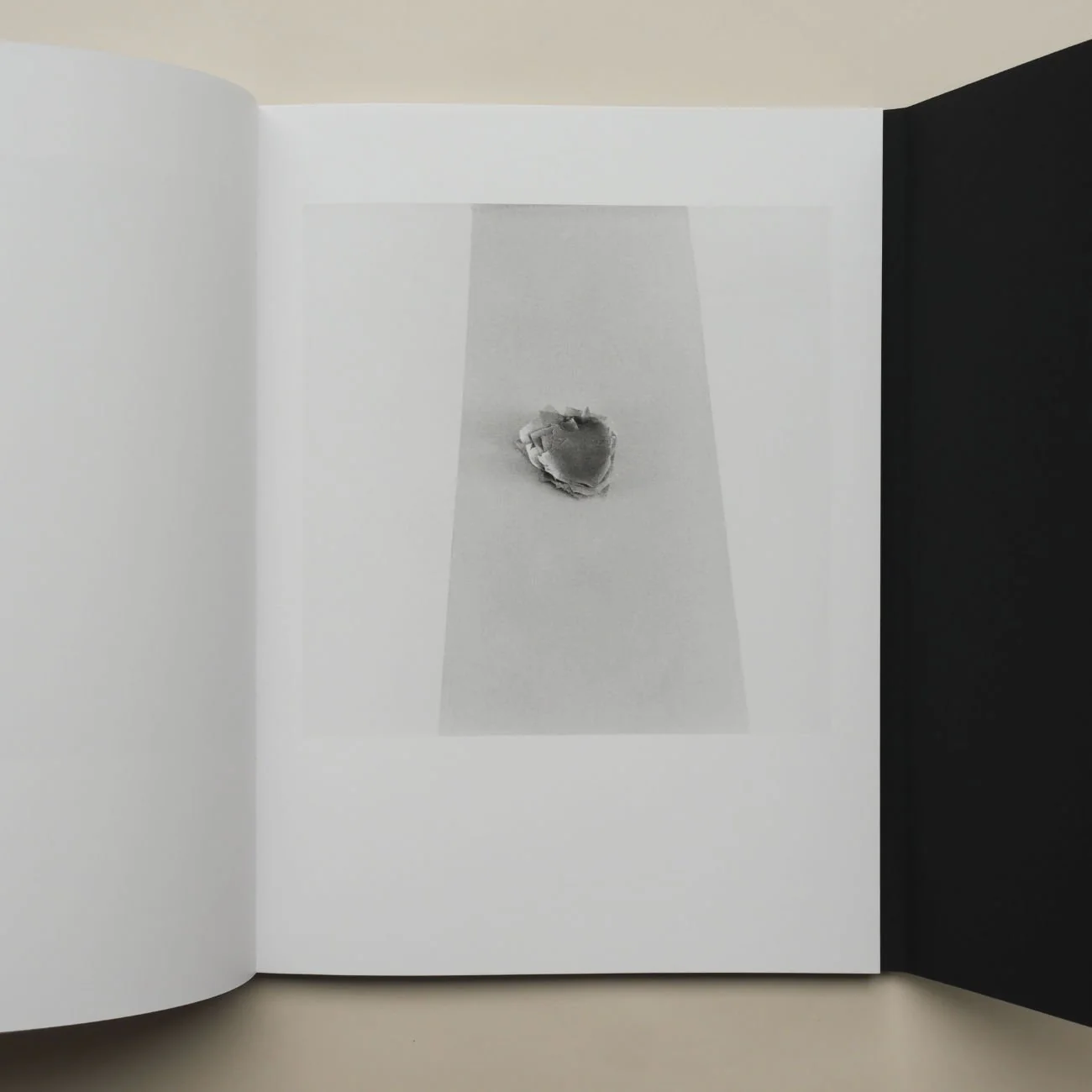 Les objectales by Denis Malartre - Image 11