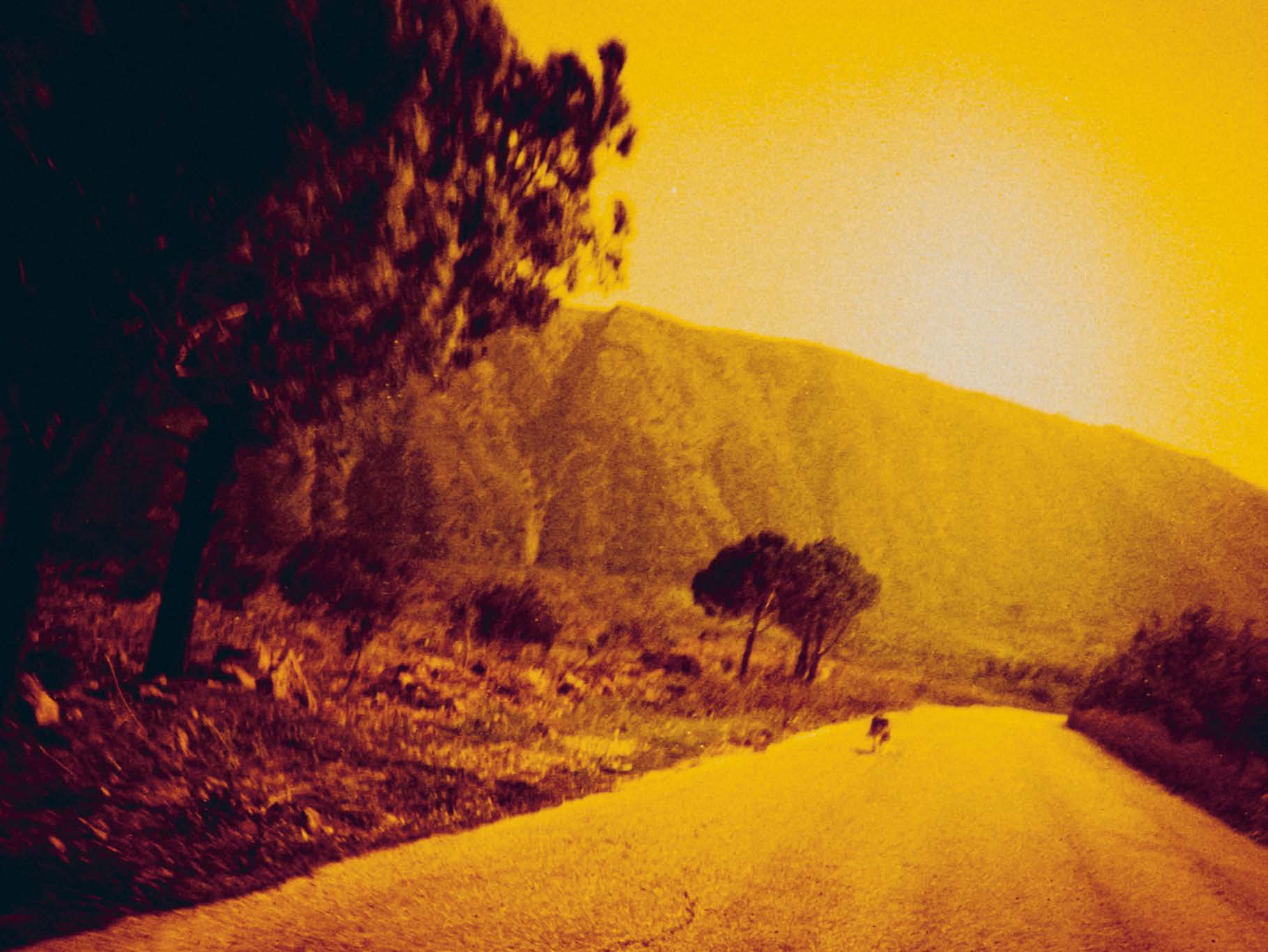 Les Ruines Circulaires by Orianne Ciantar Olive - Image 7