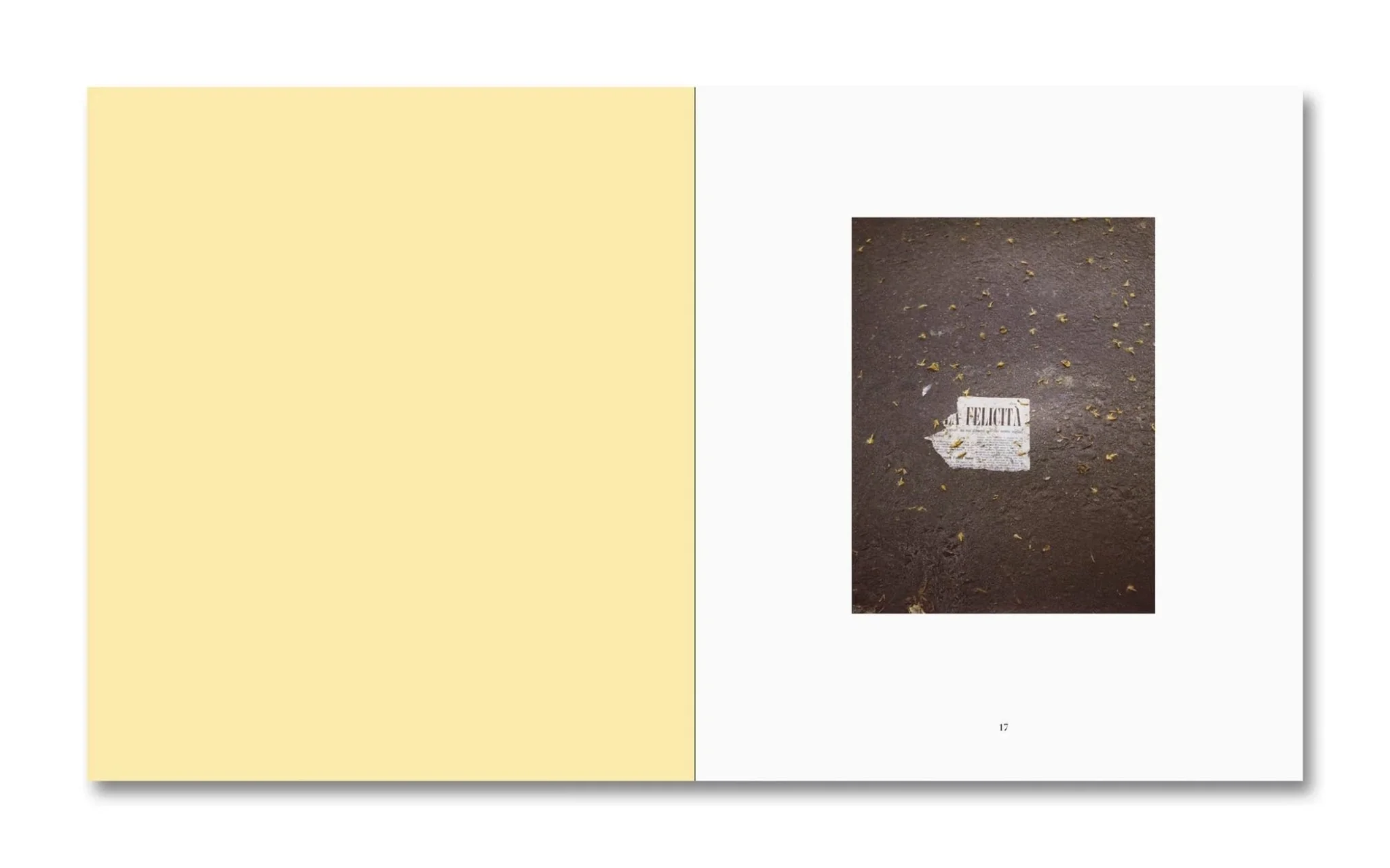 Luigi Ghirri Felicità by Alessio Bolzoni & Luca Guadagnino - Image 2