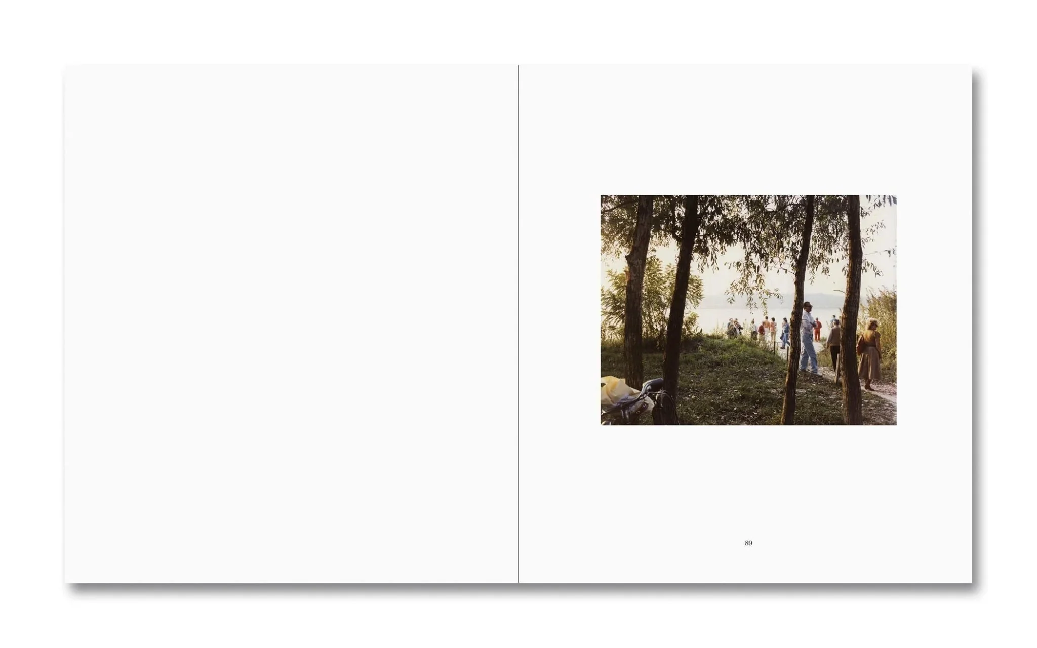 Luigi Ghirri Felicità by Alessio Bolzoni & Luca Guadagnino - Image 6