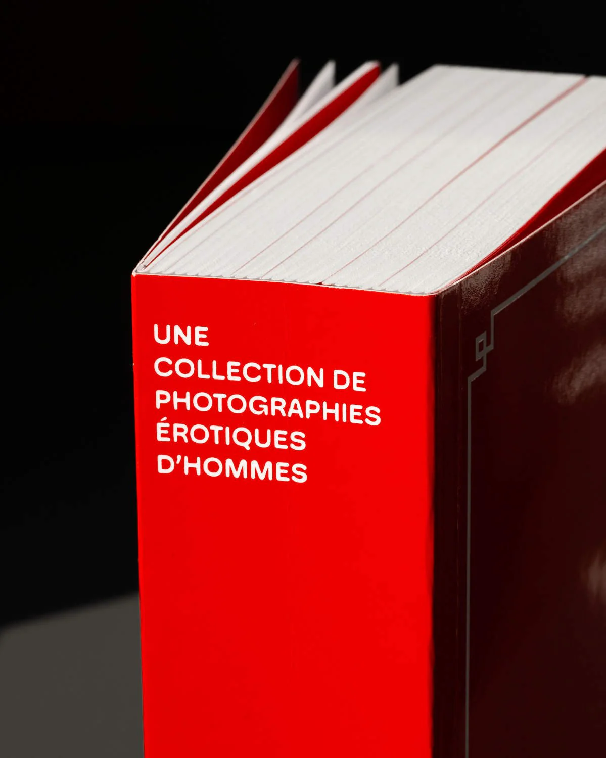 Lusted men - une collection de photographies érotiques d´hommes