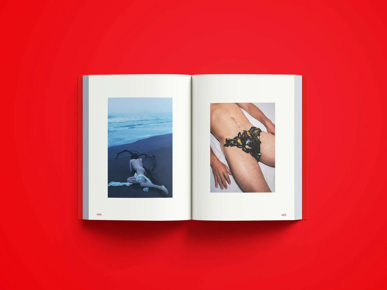Lusted men - une collection de photographies érotiques d´hommes - Image 5