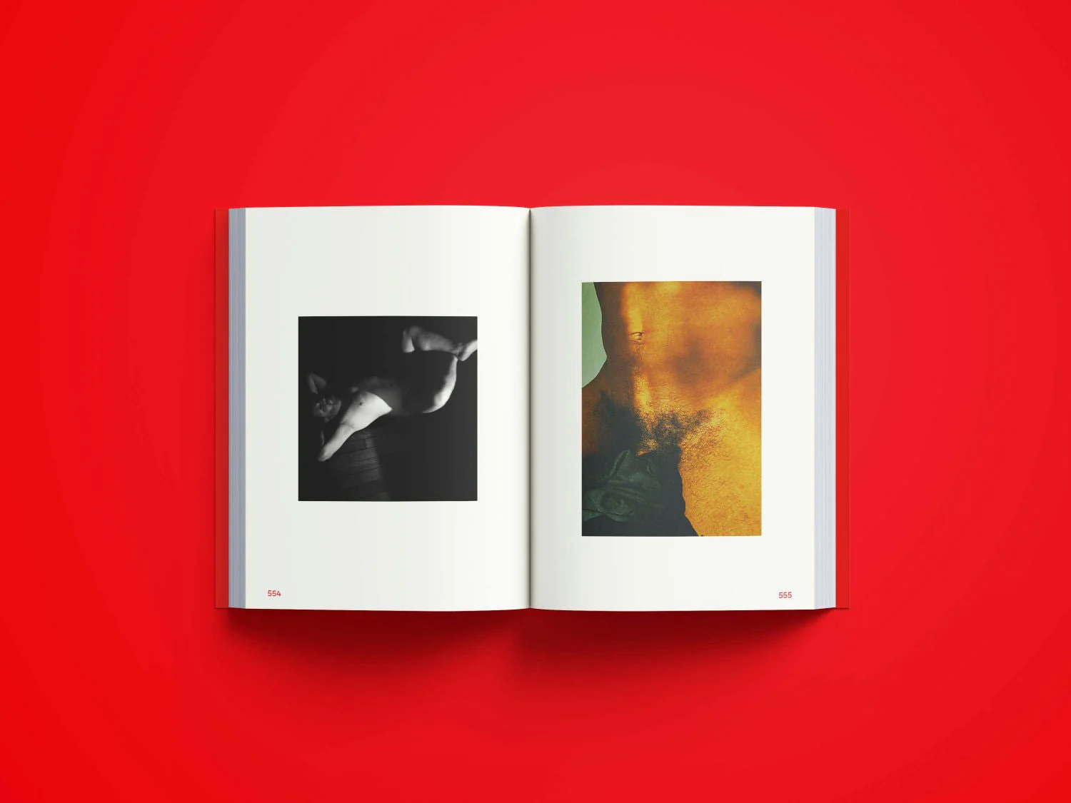 Lusted men - une collection de photographies érotiques d´hommes - Image 6