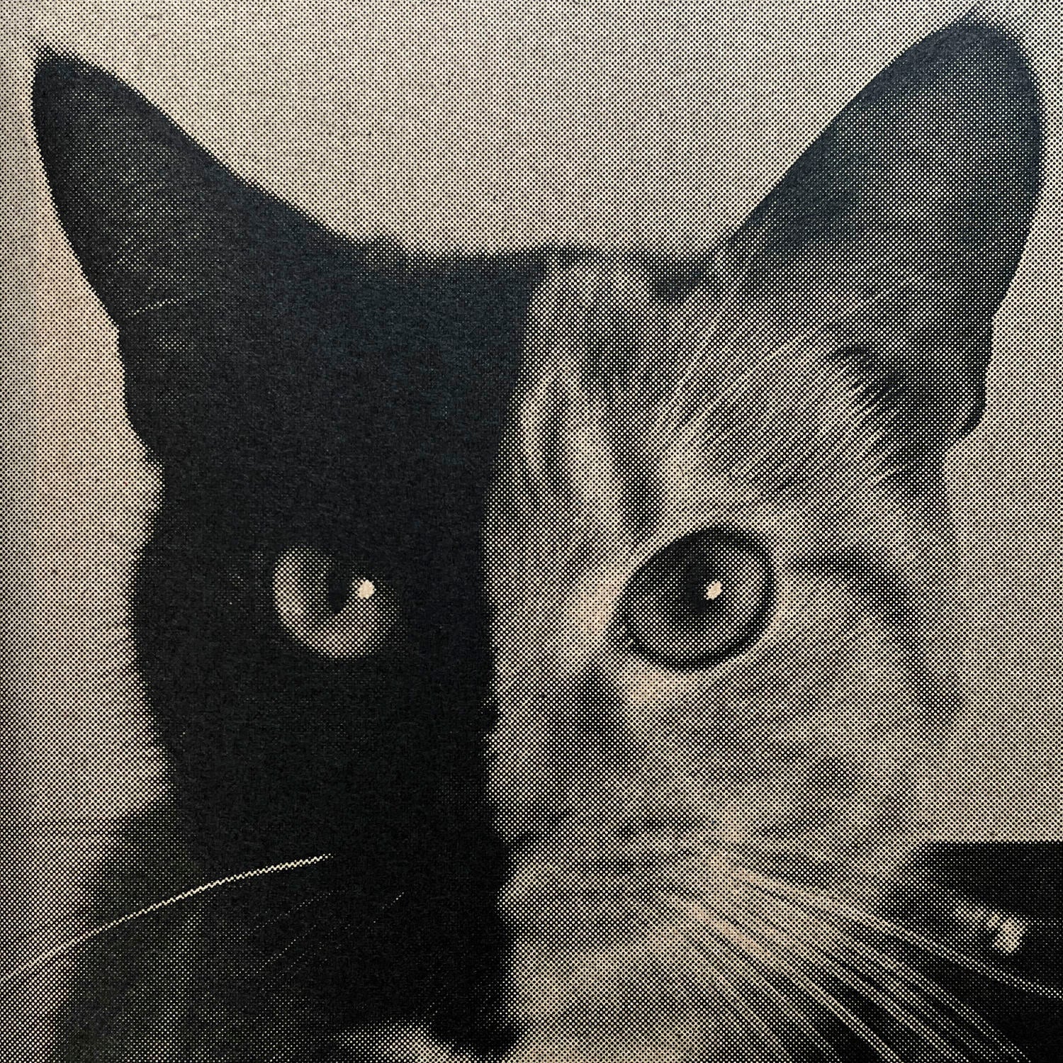 Melencolia by Bernard Voïta - Image 8