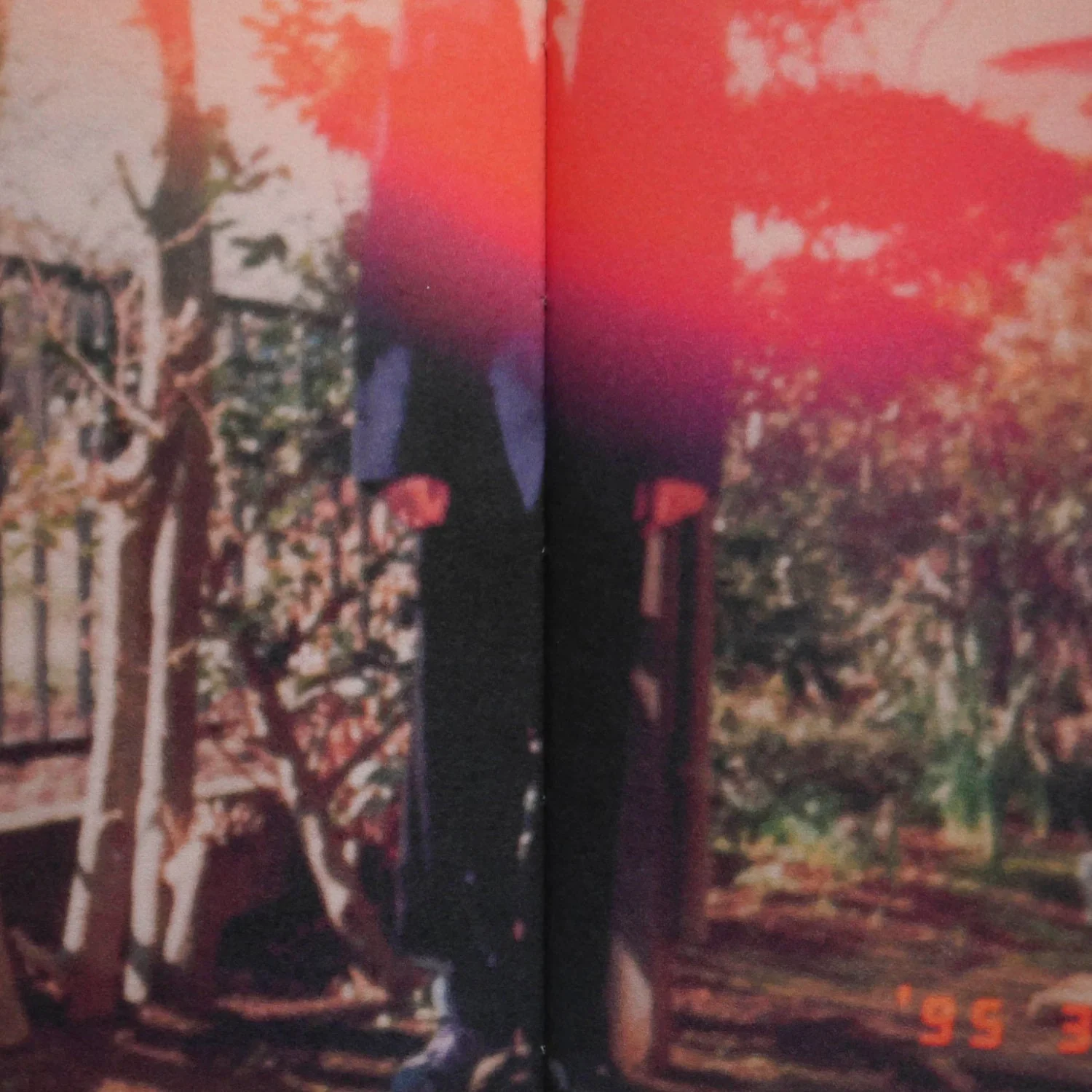 Miso Bukumirovic by Hajime Kimura - Image 6