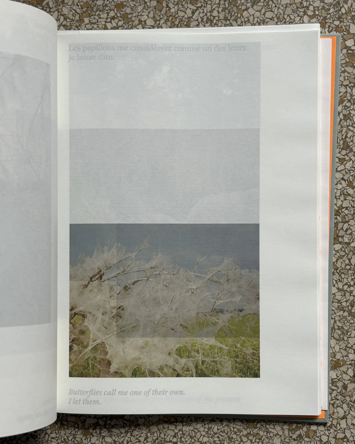 Oasis by Matthieu Litt - Image 5