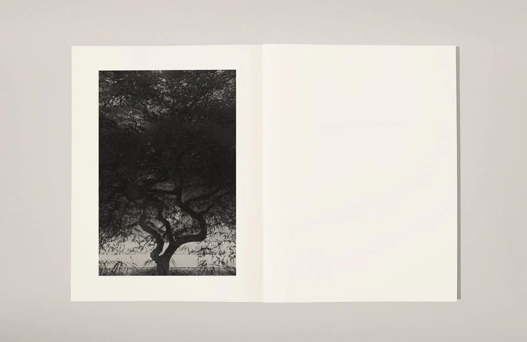 Object amnesic: a compost manifesto by Henrik Strömberg & Jens Soneryd - Image 4