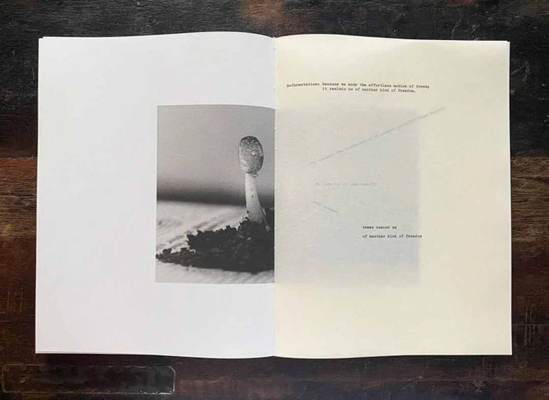 Object amnesic: a compost manifesto by Henrik Strömberg & Jens Soneryd - Image 5