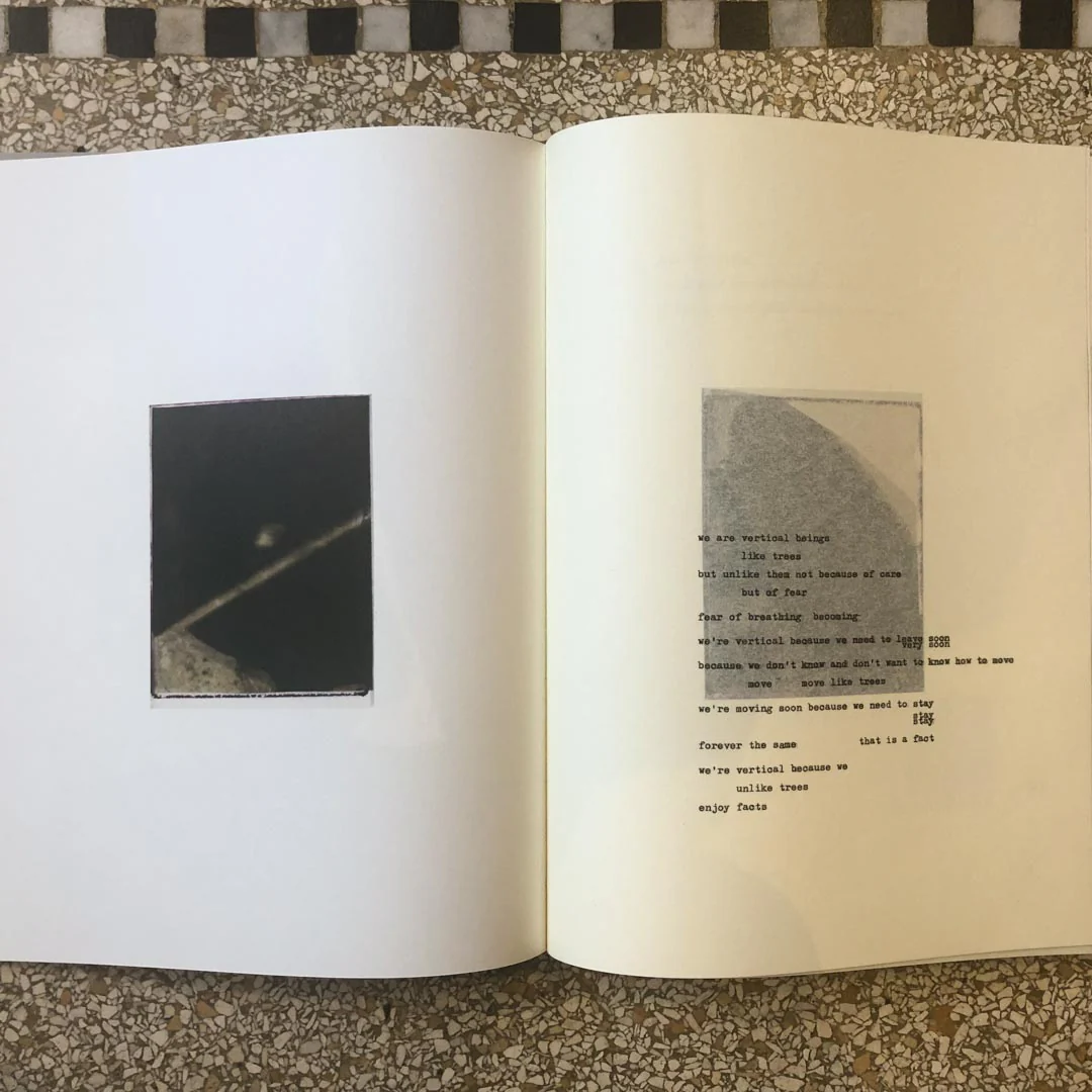 Object amnesic: a compost manifesto by Henrik Strömberg & Jens Soneryd - Image 6