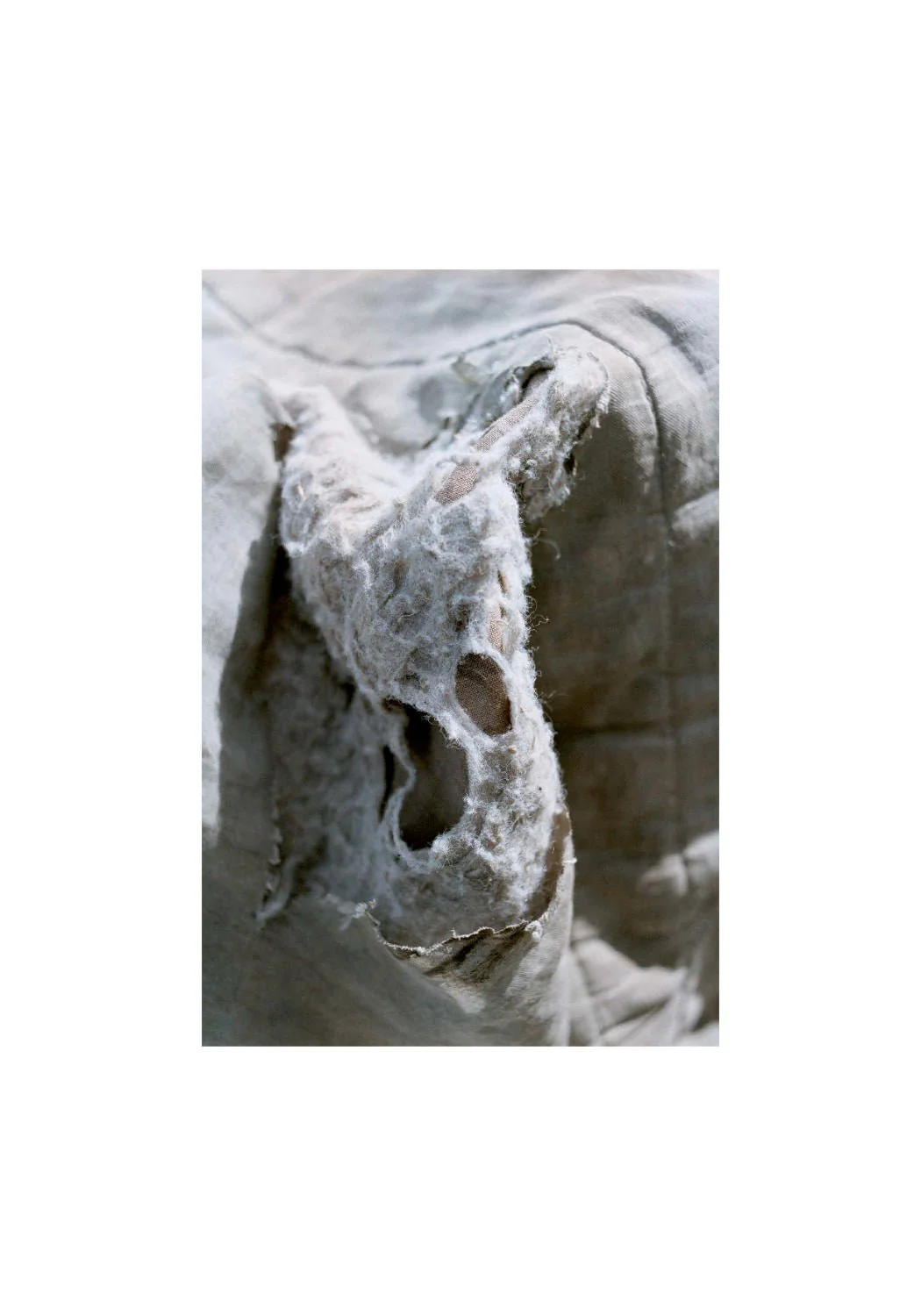 Olaf by Pierre Toussaint - Image 3