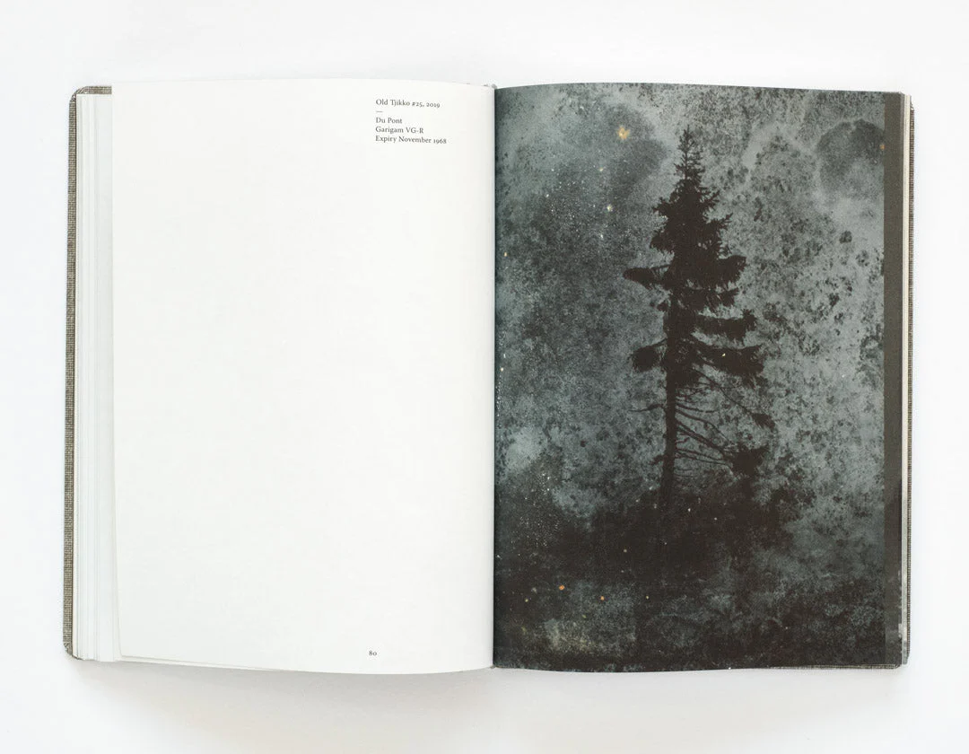 Old Tjikko by Nicolai Howalt - Image 4