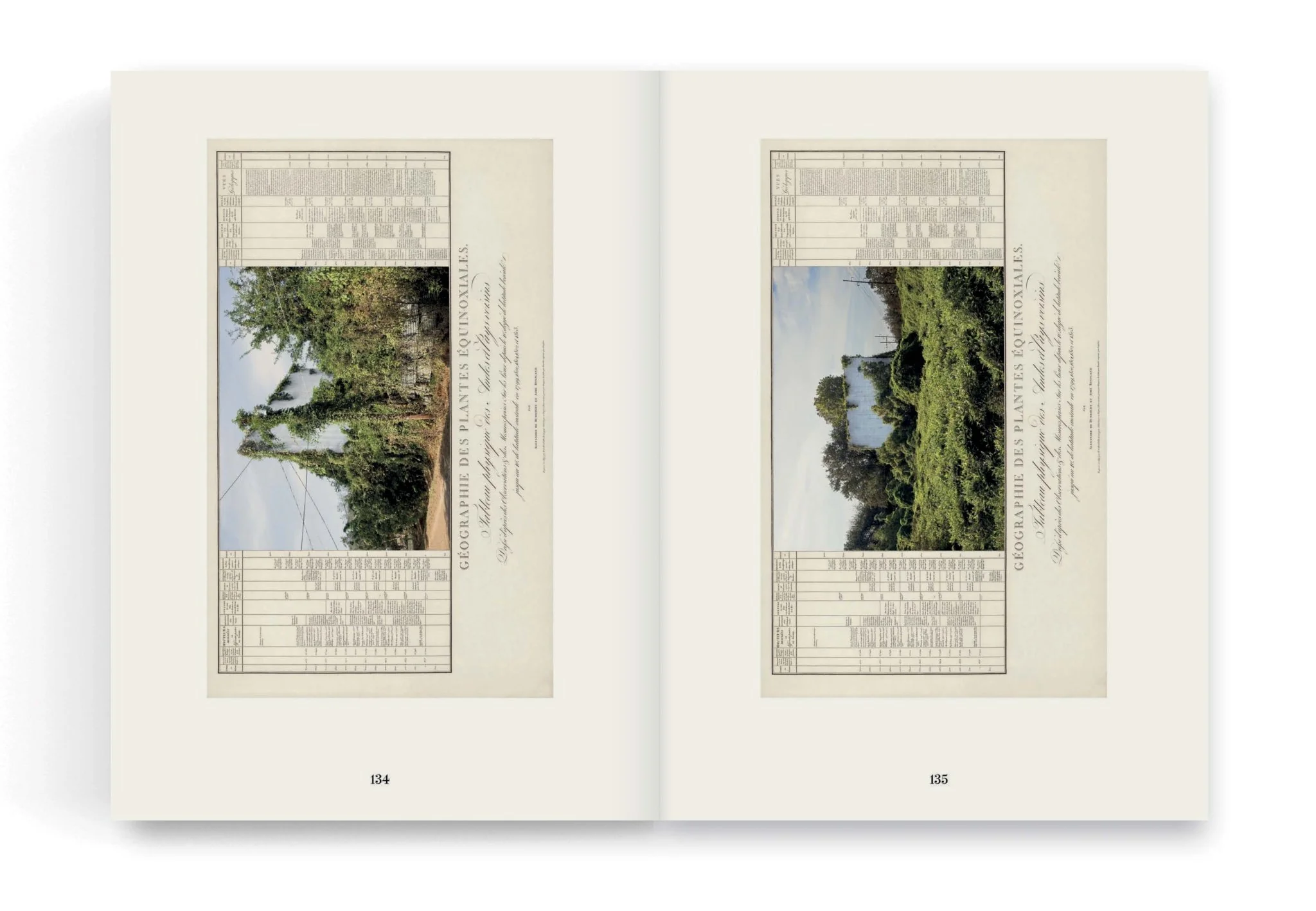 On the Geography of Green by Linarejos Moreno - Image 10