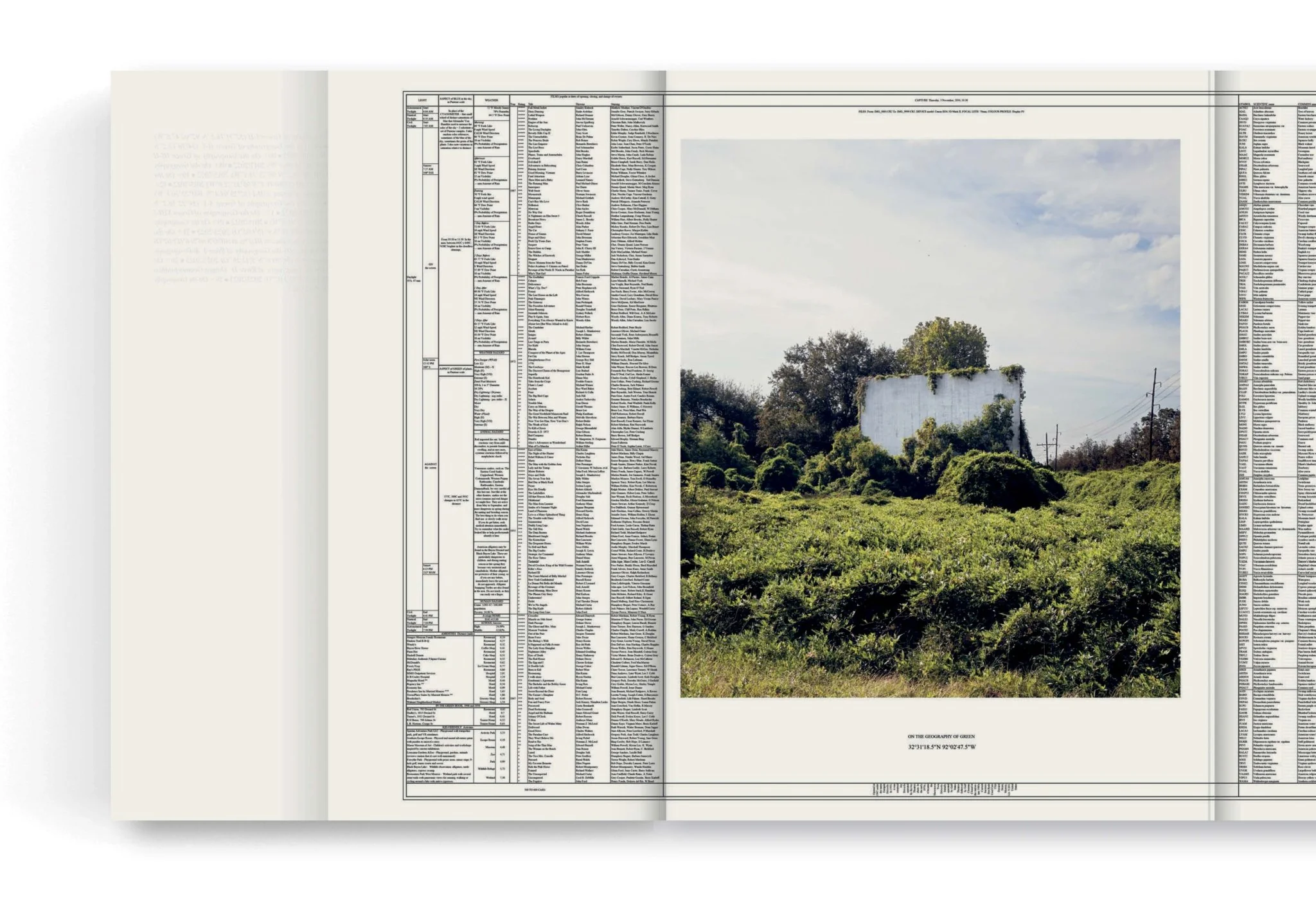 On the Geography of Green by Linarejos Moreno - Image 4