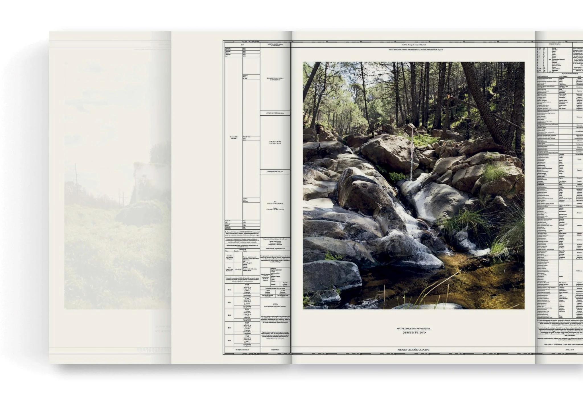 On the Geography of Green by Linarejos Moreno - Image 6