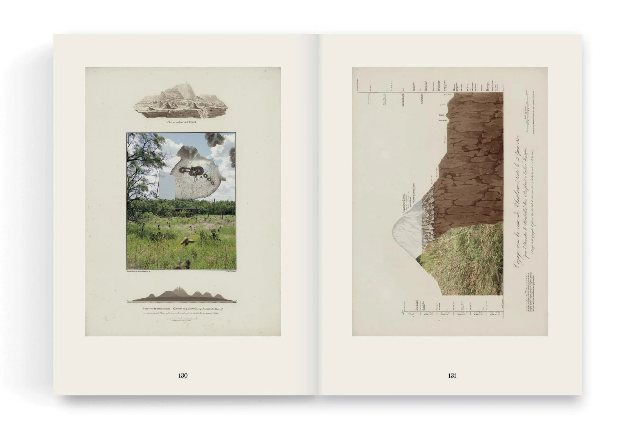 On the Geography of Green by Linarejos Moreno - Image 8